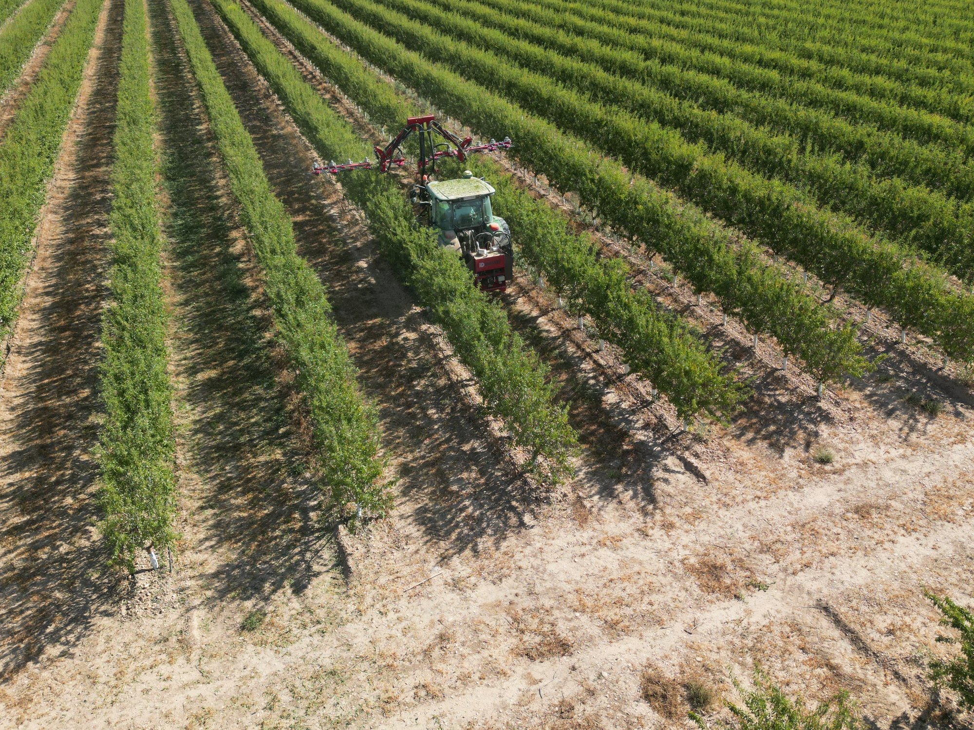 DJI_0250