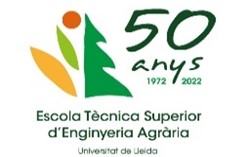 Imagen1
