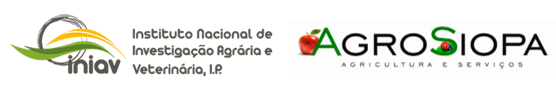Captura de pantalla 2024-10-31 154735