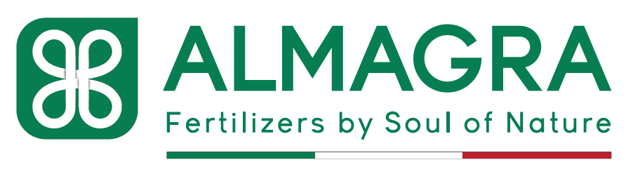 LOGO ALMAGRA 1